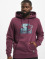 Starter Hoody The Classic Logo paars