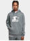 Starter Sweat capuche The Classic Logo gris