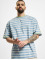 Starter t-shirt Fresh Stripes blauw