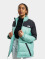 The North Face Winter Jacket Diablo green