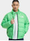 The North Face Winterjacke NSE 2000 grün