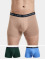 Tommy Hilfiger Alusasut Underwear 3 Pack kirjava