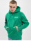 Tommy Jeans Hoodie Relaxed Polar Signature green