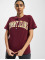 Tommy Jeans T-Shirt Relaxed Collegiate Logo red