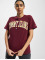 Tommy Jeans t-shirt Relaxed Collegiate Logo rood