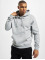 Urban Classics Sweat capuche Basic gris