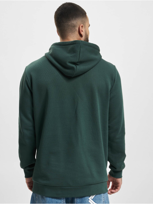 adidas Originals Hoodies Trefoil grøn
