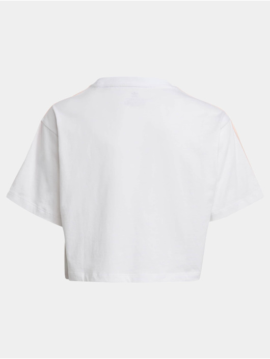 adidas Originals T-paidat Crop valkoinen