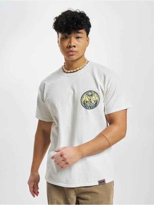 Airwalk Camiseta PTerry Colour blanco