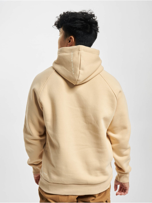 Airwalk Hoody AIR05250 braun