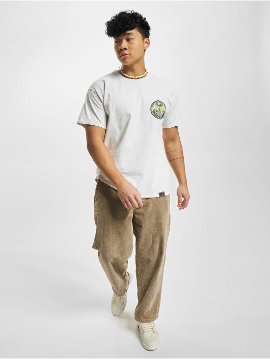 Airwalk T-Shirt PTerry Colour weiß