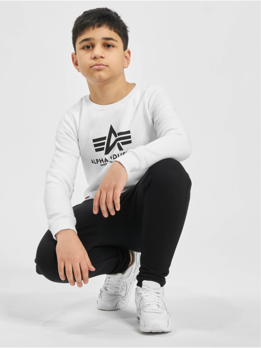 Alpha Industries Sweat & Pull Basic Sweater blanc