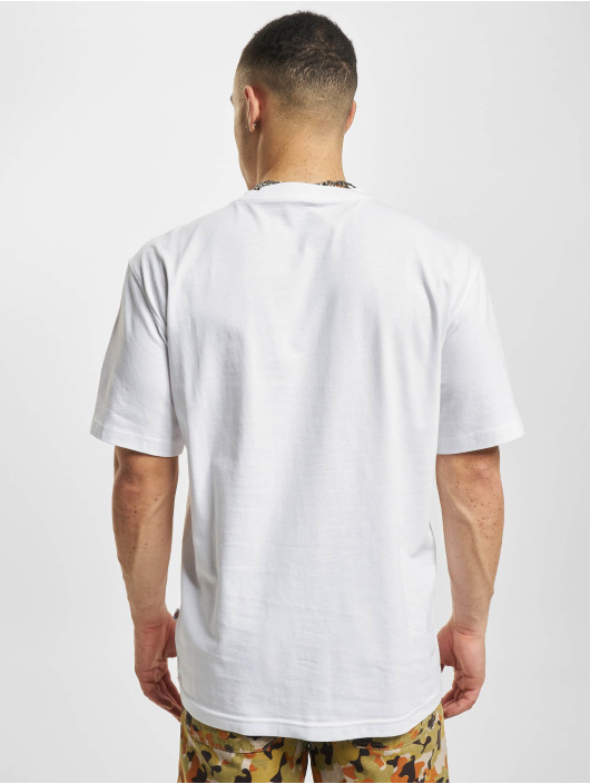 Dickies Camiseta Summerdale blanco