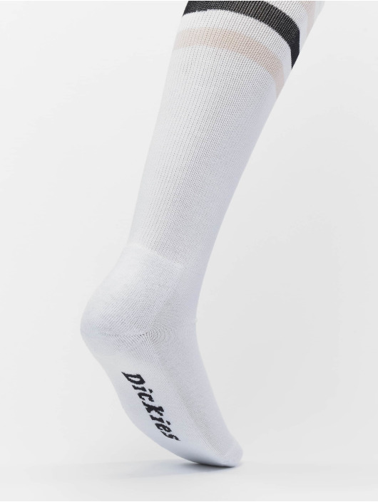 Dickies Chaussettes Lutak blanc