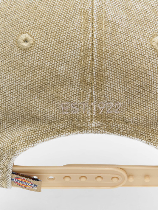 Dickies Snapback Cap Hardwick Duck Canvas rosa