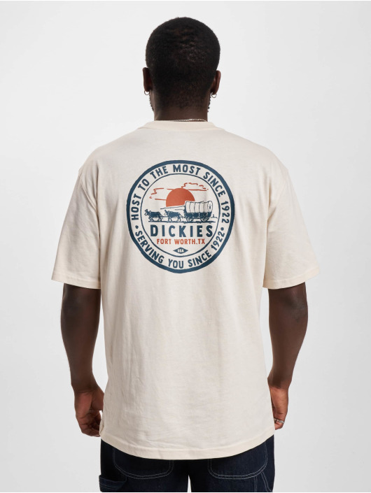 Dickies t-shirt Greensburg beige