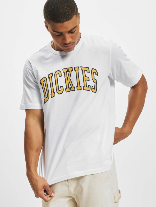 Dickies T-Shirt Aitkin blanc