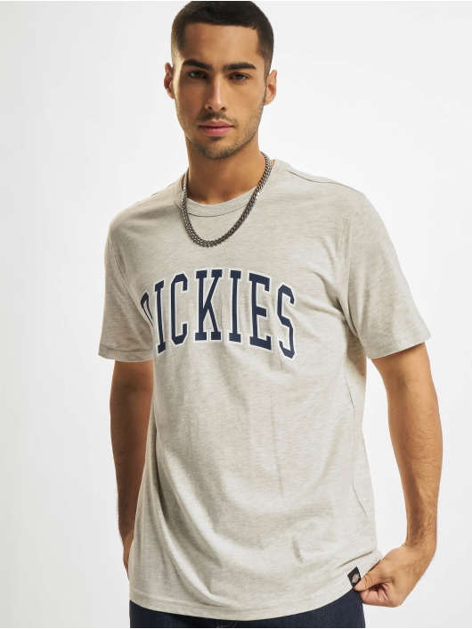 Dickies T-Shirt Aitkin grey