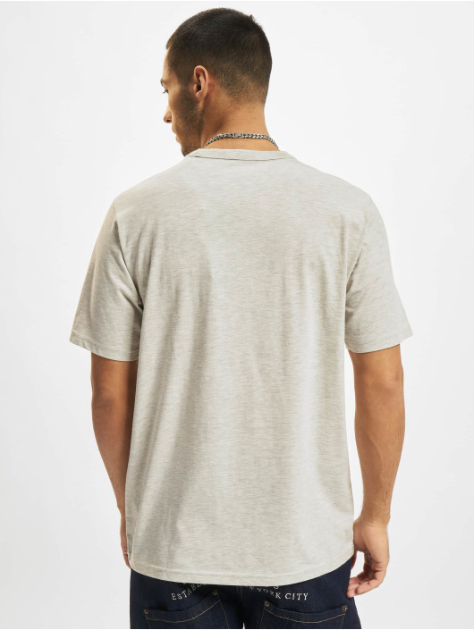 Dickies T-Shirt Aitkin grey