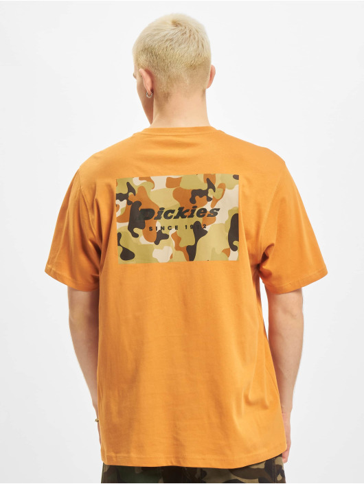 Dickies T-Shirt Artondale Box orange