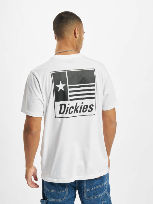 Dickies T-Shirty Taylor SS bialy
