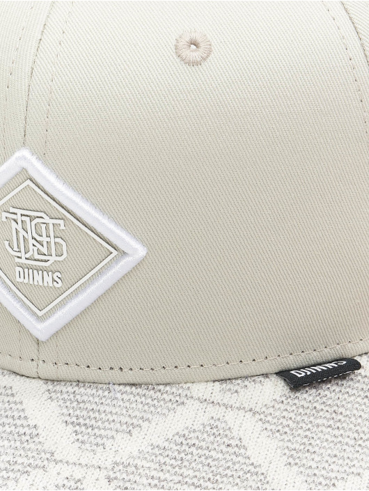 Djinns Snapback Cap 6 Panel Fendolookalike grigio