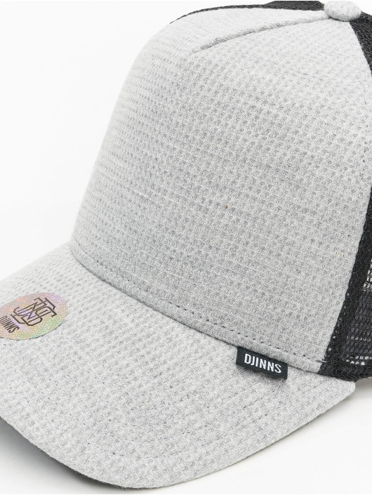 Djinns Trucker Cap HFT grau