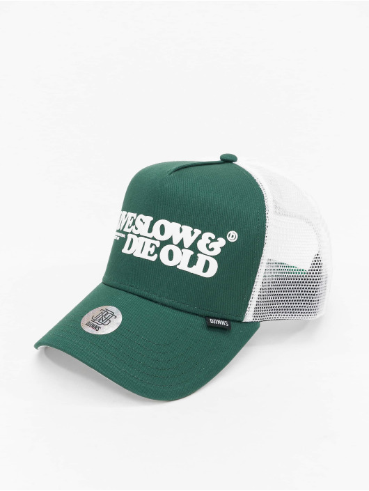 Djinns Trucker Cap HFT LSDO grün