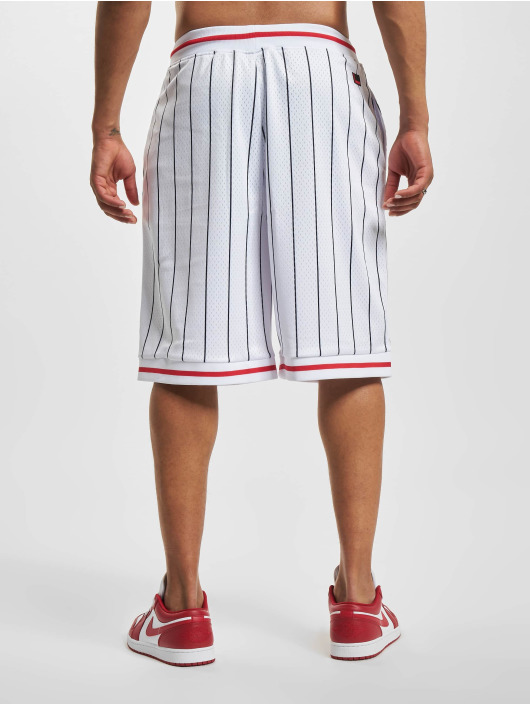 Fubu shorts Varsity Pinstriped Mesh wit