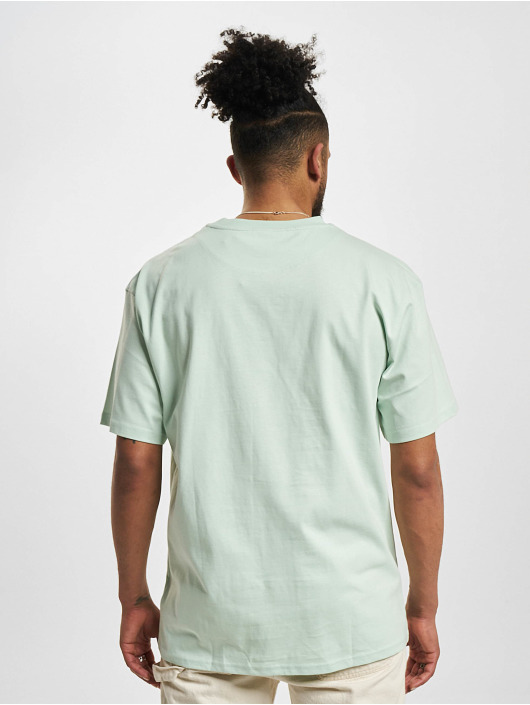 Karl Kani Camiseta Small Signature Essential verde