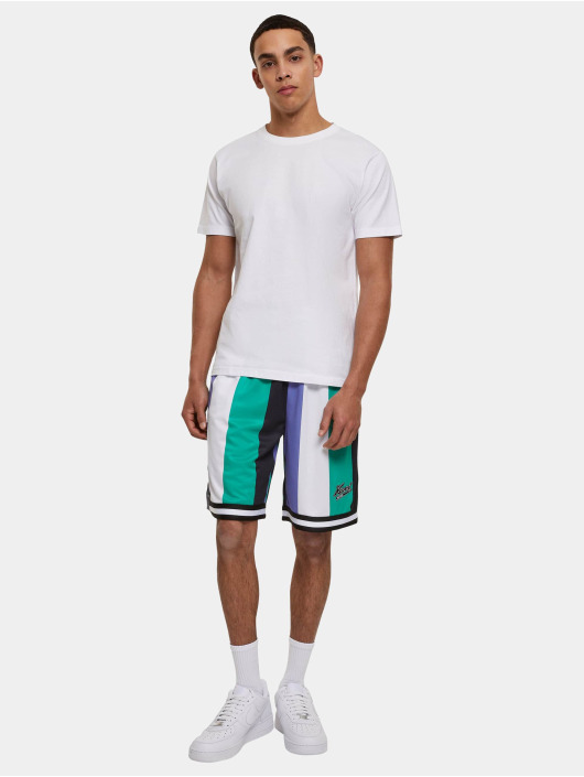 Karl Kani Shortsit Varsity Striped Mesh vihreä