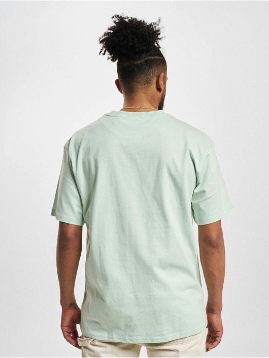Karl Kani T-paidat Small Signature Essential vihreä