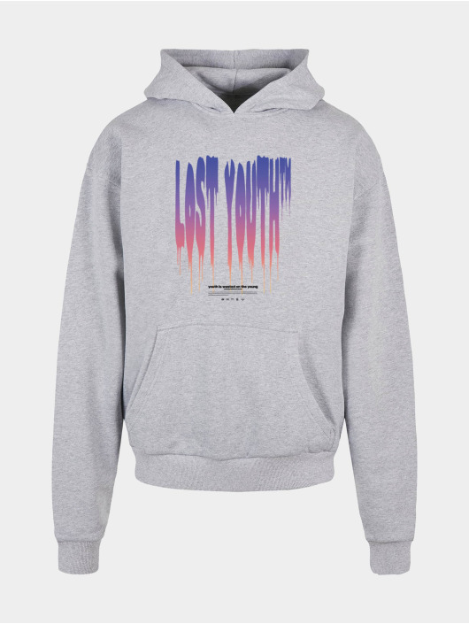 Lost Youth Sweat capuche Icon V.3 gris