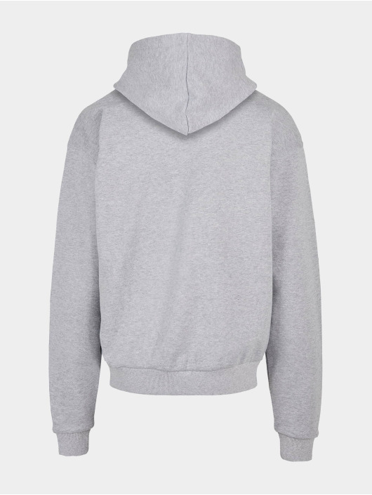 Lost Youth Sweat capuche Icon V.3 gris