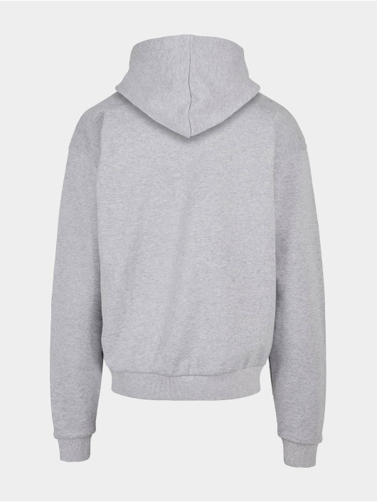 Lost Youth Sweat capuche Money V.1 gris
