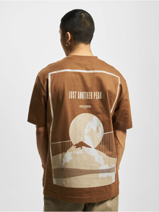 Only & Sons T-Shirt Fred Explore Print brun