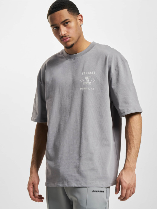 PEGADOR Camiseta Salal Oversized gris