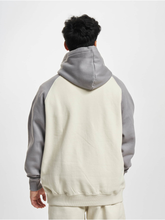 PEGADOR Hoodies Keefer Raglan beige