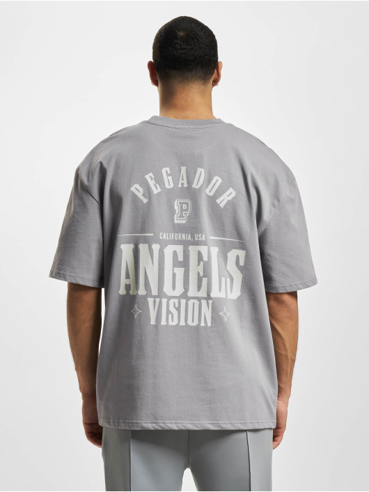 PEGADOR T-Shirt Salal Oversized grey