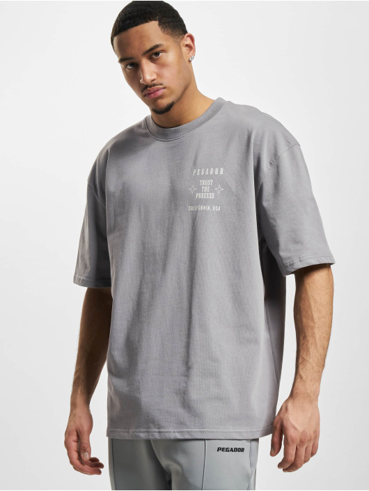 PEGADOR T-Shirt Salal Oversized gris