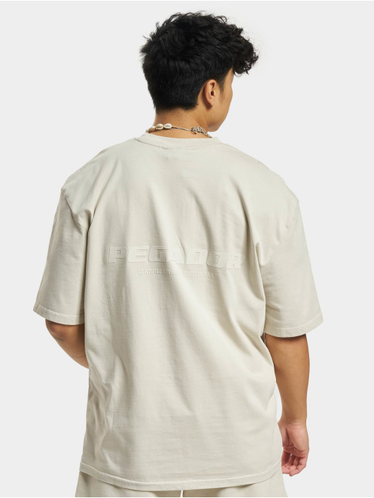 PEGADOR T-shirts Colne Logo Oversized Vintage beige