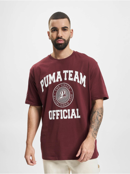 Puma T-Shirt Team Graphic rot