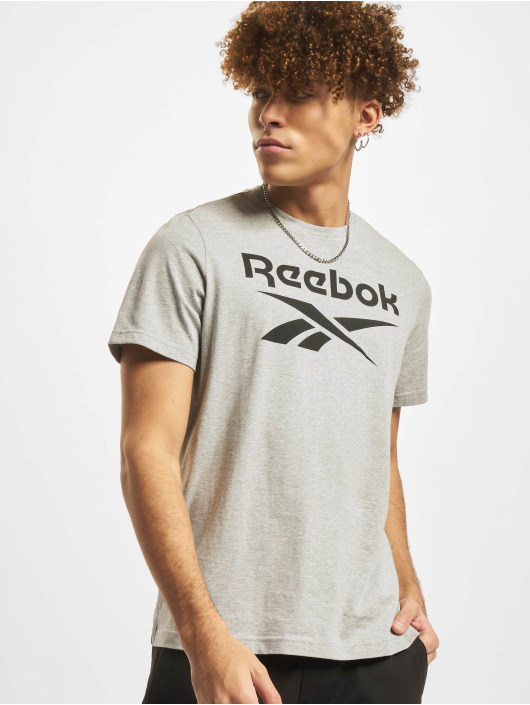 Reebok T-shirt Ri Big Logo grigio