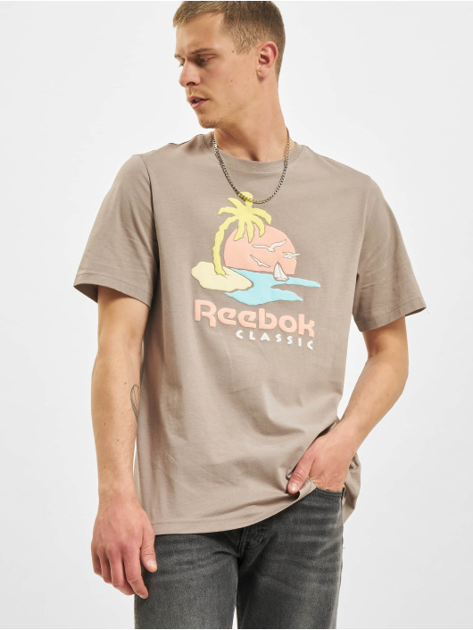Reebok T-Shirt Classics Summer Graphic gris