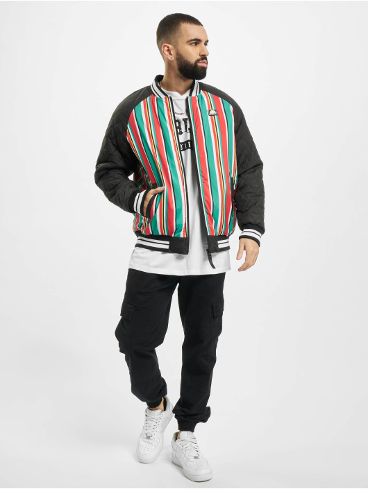 Southpole Teddy Stripe College multicolore