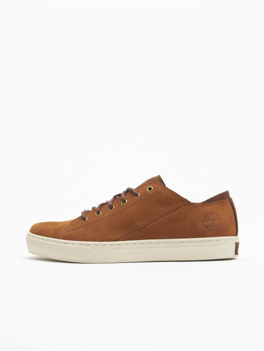 Timberland Baskets Adv 2.0 Cupsole Modern Ox brun
