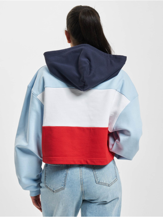 Tommy Jeans Hoodie Crop Archive colored