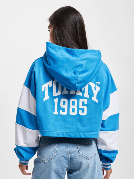 Tommy Jeans Hoody Crp 85 blau