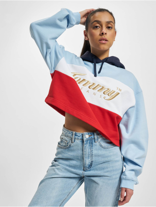 Tommy Jeans Hoody Crop Archive bont