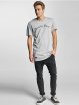 Cayler & Sons T-Shirt Family First grey